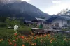 tents in sangla kinnaur