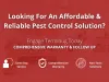 Best Pest Control Company In Singapore