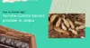 Termite Treatment | Termite Control Services in Jaipur - Pesto Control