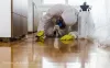 Best Termite Control Services in Gurgaon