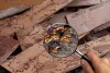 Termite Treatment For Walls - Complete Procedure