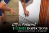 DIY vs. Professional Termite Inspections: Which is Best for Your Home? – Guest Posting, Guest Blogging Services, Article, Blog Posting