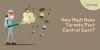 termite control services in Jaipur