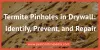 Termite Pinholes in Drywall: Identify, Prevent, and Repair