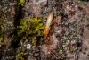termite-treatment-2.jpg