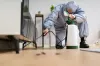 termite-treatment-gold-coast-1.webp