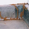 Best Pest Control | Termite Control | Rats Control | Thrissur
