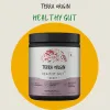 Healthy Gut: Key To Optimal Health And Wellness