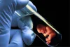 Test Tube Baby Cost and Process in India [ New Cost 2021 ]