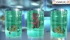   Test Tube Baby Cost