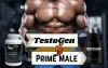 TestoGen vs Prime Male: Which T-Booster Actually Boost T-Levels?