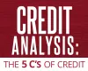 The 5Cs of Credit for Business Loans- What lenders consider when reviewing loan applications - How To -Bestmarket