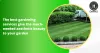 Looking to beautify your garden but don't know where to find the best gardening services in Kolkata?