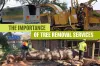 The Importance of Tree Removal Services - Tall Timbers Tree Services
