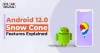 Android 12.0 Has Arrived, Here's What You Can Expect!