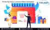 The Next Big Thing in Ecommerce Development company