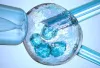 The Role of Genetic Testing in IVF