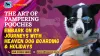 The Art of Pampering Pooches: K9 Heaven Dog Boarding &amp; Holidays Unveiled