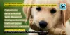 The Importance of Exercise: How K9 Heaven's Day Care Service Can Help Keep Your Dog Active and Healthy