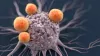 The Immune System and Cancer