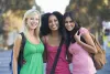 Surrogate Agencies in New York