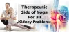 Therapeutic Side of Yoga For all Kidney Problems - Karma Ayurveda Hospital