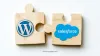 Things You Need to Consider while Integrating WordPress and Salesforce
