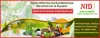 Third Party Manufacturing of Ayurvedic Products | Top Third Party Ayurvedic Manufacturer in India