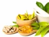 Ayurvedic PCD Franchise Companies | Ayurvedic PCD Company