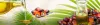 Desiccated Coconut Supplier In Malaysia - Malaysia Desiccated Coconut