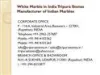Italian Marble in India Supplier and manufacturer of Italian Marble 