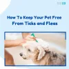 How To Keep Your Pet Free From Ticks and Fleas - Vetco Store