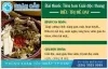 Thông tin về bài thuốc Tiêu ban Giải độc thang