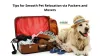 Tips for Smooth Pet Relocation via Packers and Movers