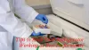 Tips to Keep Your Refrigerator Working at Best Performance - TheBlogsLive