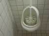 How to Clean a Toilet Brush? 