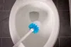 Bathroom Accessories and Toilet Brush Caddies 