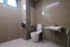 Handicap Toilet Seats Features With Handles