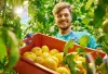 Farm Workers Compensation | Farm Insurance Pennsylvania