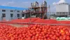 Tomato Processing Plant