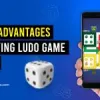 The Ultimate Online Ludo Winning Handbook: Tips and Techniques - Agnito Technology
