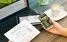 Golang vs. Python: Which One to Choose for data analytics?