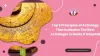 Top 6 Principles of Astrology That Indicates The Best Astrologer in Noida If Adopted
