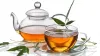 Top 7 Organic Tea Brands in India - Organic Tea