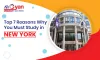 Top 7 Reasons Why You Must Study in New York - Business Lug