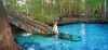 Top Attractions in Tampa to Explore on Delta Airlines
