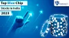 TOP BLUE CHIP STOCKS IN INDIA 2023 -