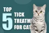Top 5 Tick Remedies for Cats: Vet Approved