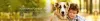 Veterinary Pharma Franchise Companies in India | Veterinary PCD Product