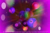 Play Online Bingo Cards Games
